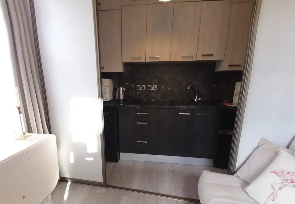 Kitchen seen from the living area through the opened sliding panels